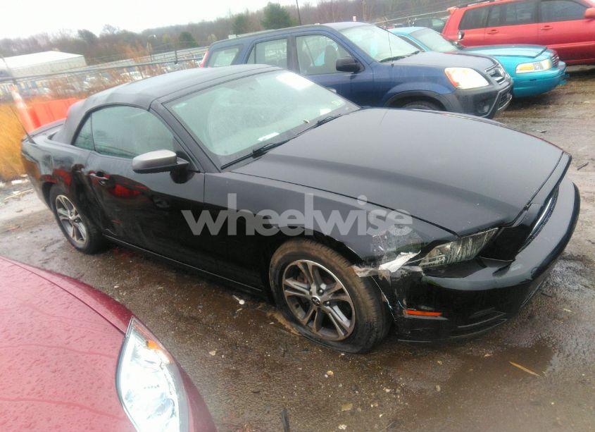 2014 Ford Mustang V6 PREMIUM (VIN 1ZVBP8EM8E5262595) main photo