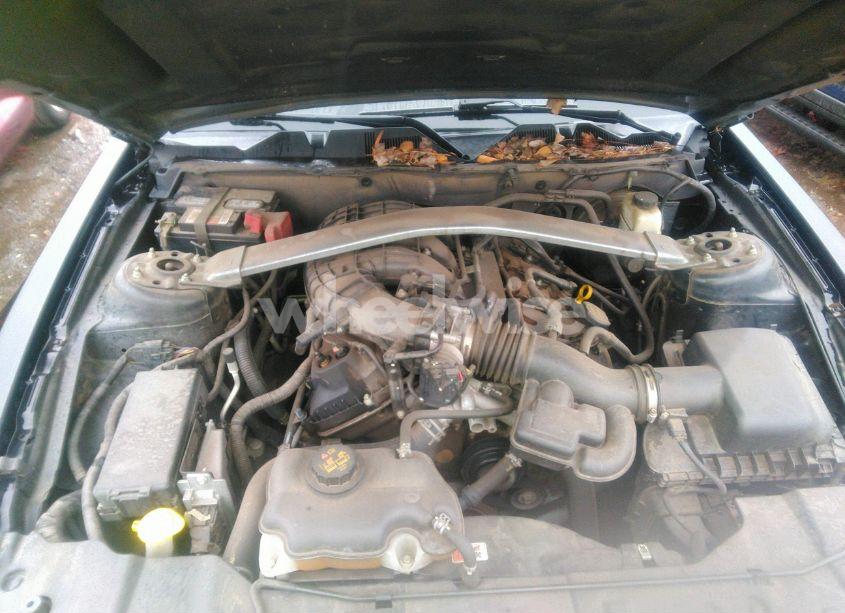 Photo 10 of 2014 Ford Mustang V6 PREMIUM (VIN 1ZVBP8EM8E5262595)