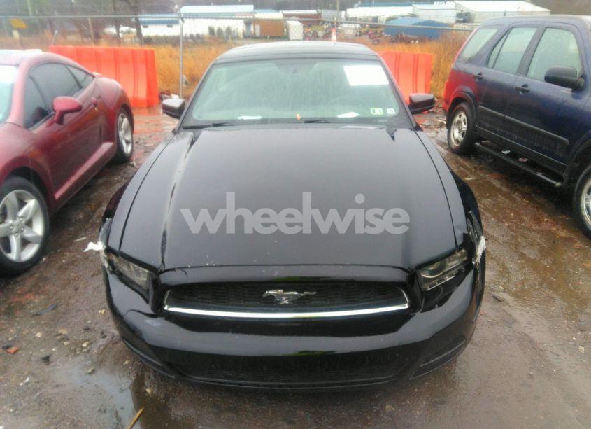 Photo 12 of 2014 Ford Mustang V6 PREMIUM (VIN 1ZVBP8EM8E5262595)