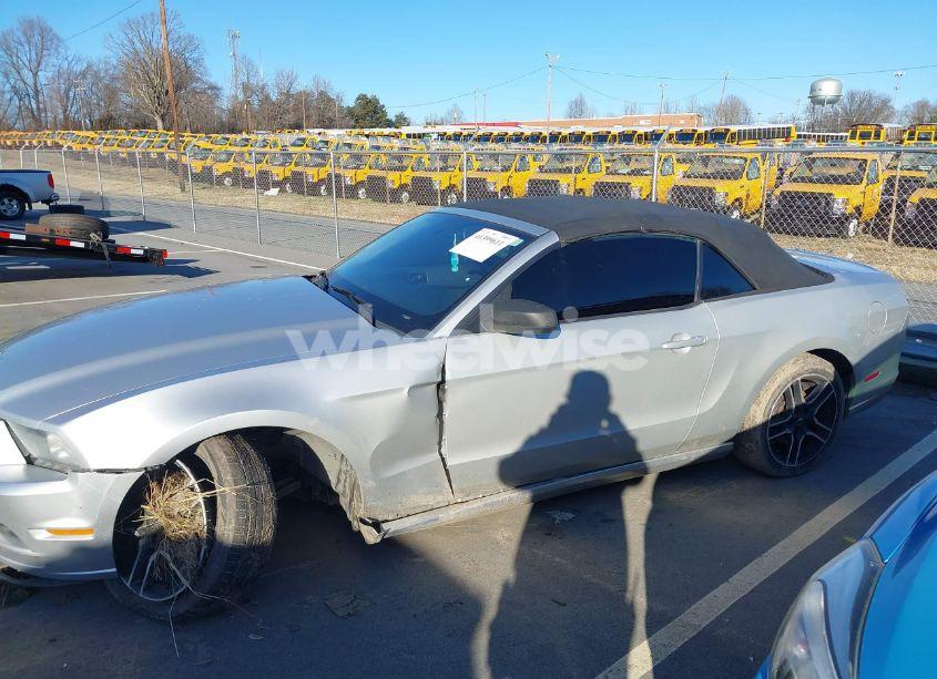 Photo 14 of 2014 Ford Mustang V6 (VIN 1ZVBP8EM8E5264833)