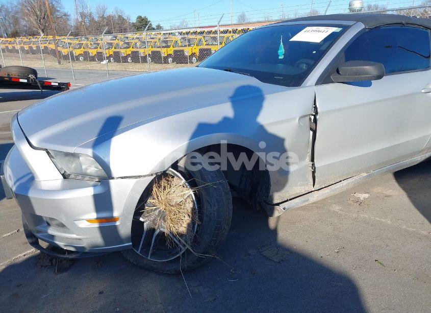 Photo 6 of 2014 Ford Mustang V6 (VIN 1ZVBP8EM8E5264833)