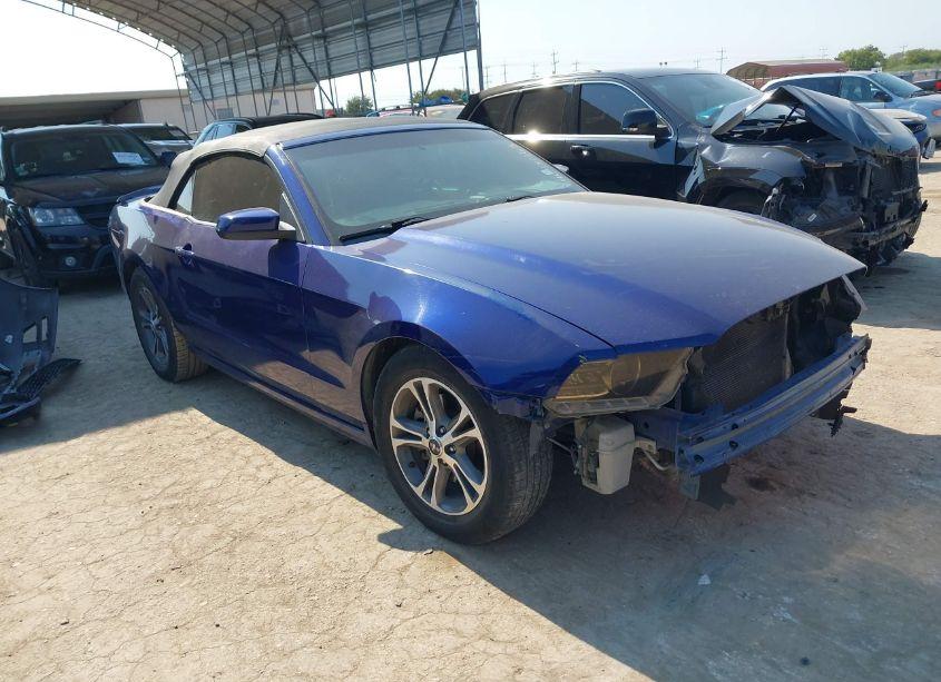 2014 Ford Mustang V6 PREMIUM (VIN 1ZVBP8EM8E5310726) main photo
