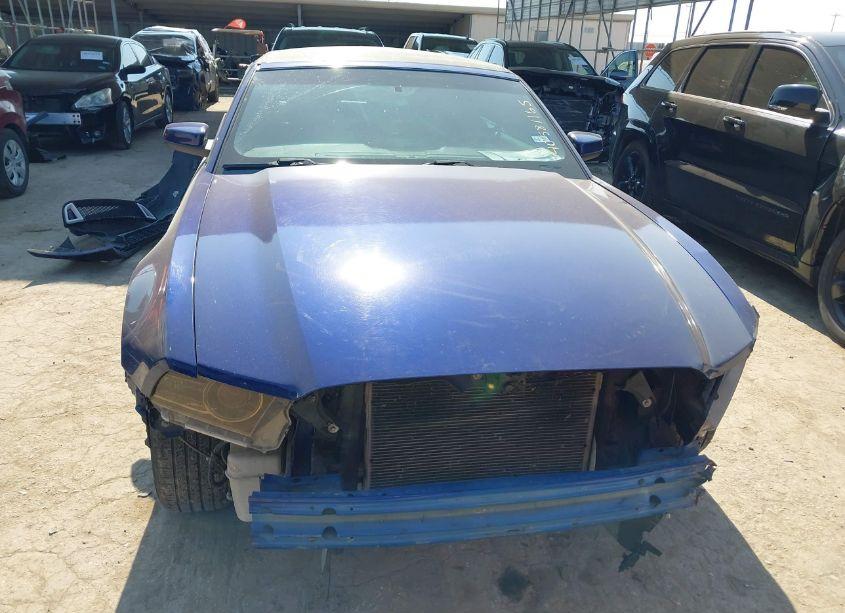 Photo 13 of 2014 Ford Mustang V6 PREMIUM (VIN 1ZVBP8EM8E5310726)