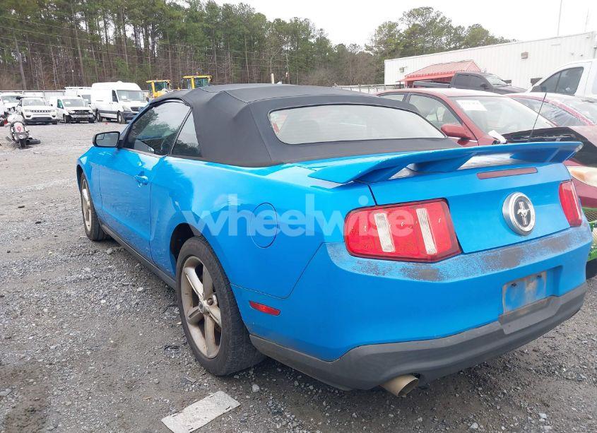 Photo 3 of 2011 Ford Mustang V6 PREMIUM (VIN 1ZVBP8EM9B5100499)