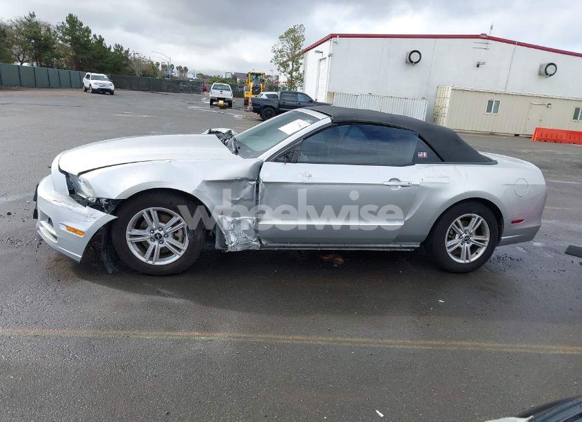 Photo 14 of 2014 Ford Mustang V6 (VIN 1ZVBP8EM9E5316695)