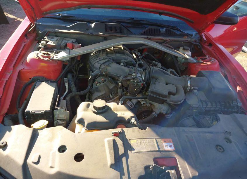 Photo 10 of 2014 Ford Mustang V6 (VIN 1ZVBP8EM9E5325672)