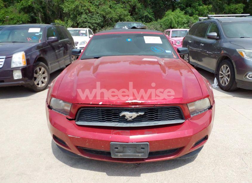 Photo 12 of 2011 Ford Mustang V6 PREMIUM (VIN 1ZVBP8EMXB5154121)