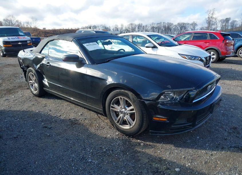 2013 Ford Mustang V6 (VIN 1ZVBP8EMXD5237048) main photo