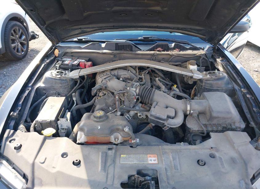 Photo 10 of 2013 Ford Mustang V6 (VIN 1ZVBP8EMXD5237048)
