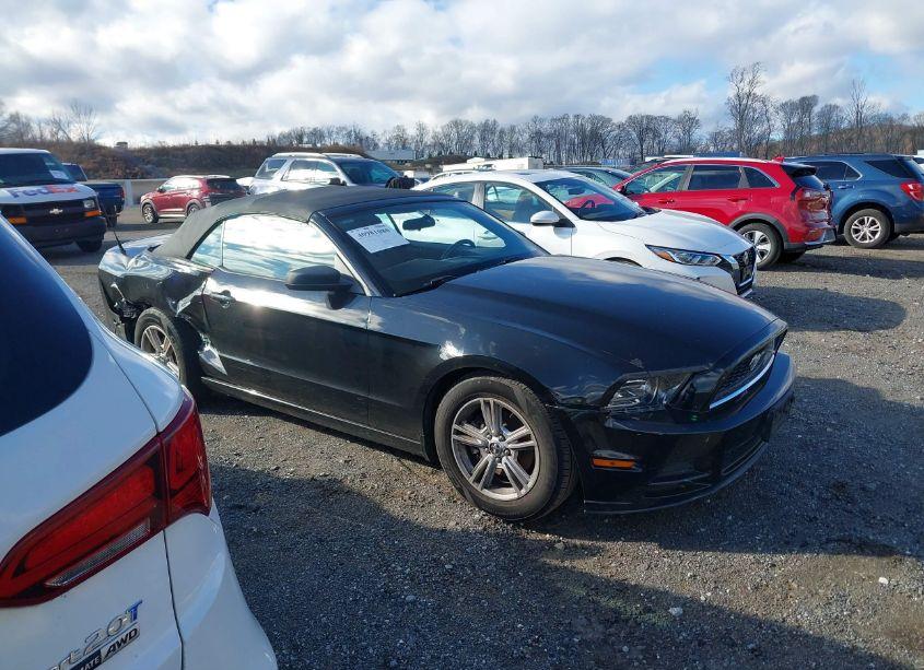Photo 13 of 2013 Ford Mustang V6 (VIN 1ZVBP8EMXD5237048)