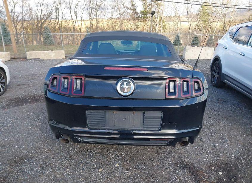 Photo 16 of 2013 Ford Mustang V6 (VIN 1ZVBP8EMXD5237048)