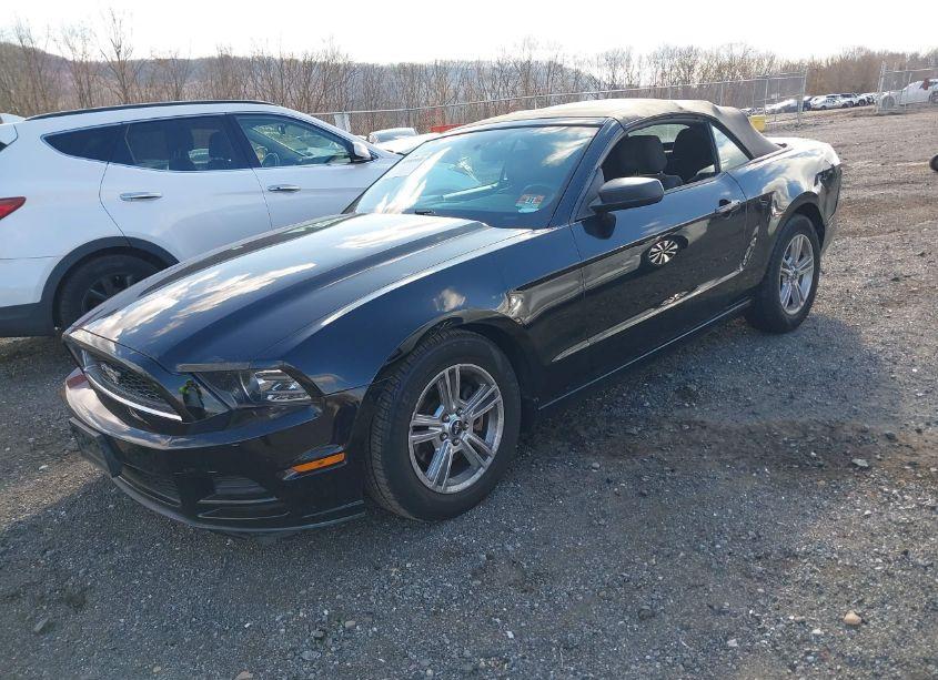 Photo 2 of 2013 Ford Mustang V6 (VIN 1ZVBP8EMXD5237048)