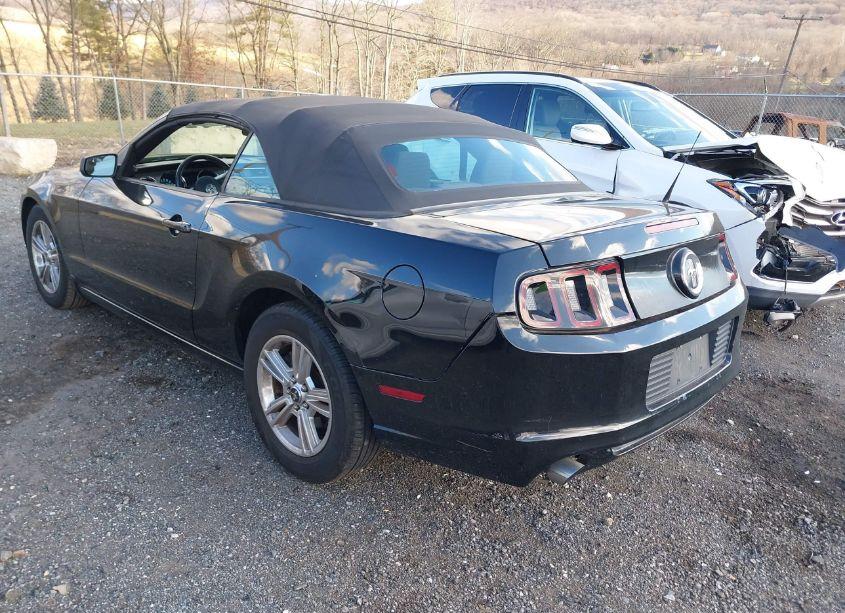 Photo 3 of 2013 Ford Mustang V6 (VIN 1ZVBP8EMXD5237048)