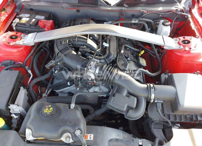 Photo 10 of 2014 Ford Mustang N/A (VIN 1ZVBP8EMXE5266387)