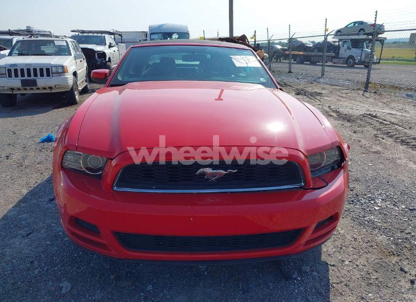 Photo 12 of 2014 Ford Mustang N/A (VIN 1ZVBP8EMXE5266387)