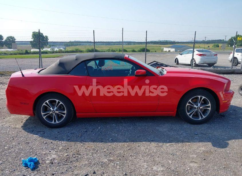 Photo 13 of 2014 Ford Mustang N/A (VIN 1ZVBP8EMXE5266387)