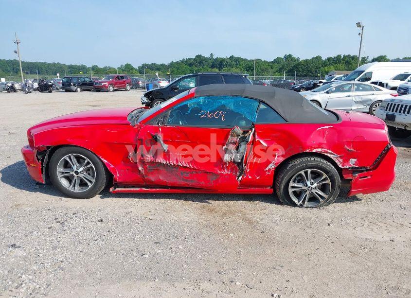 Photo 14 of 2014 Ford Mustang N/A (VIN 1ZVBP8EMXE5266387)