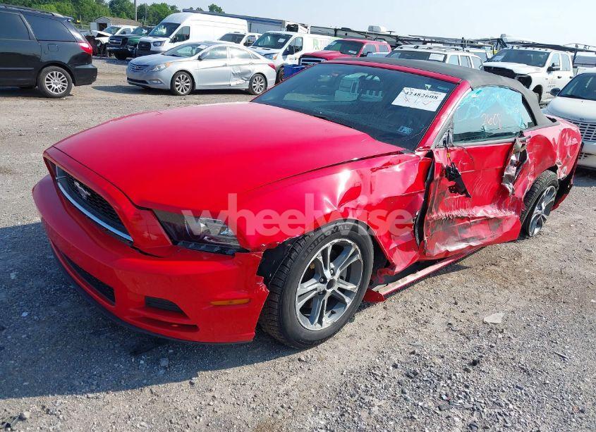 Photo 2 of 2014 Ford Mustang N/A (VIN 1ZVBP8EMXE5266387)