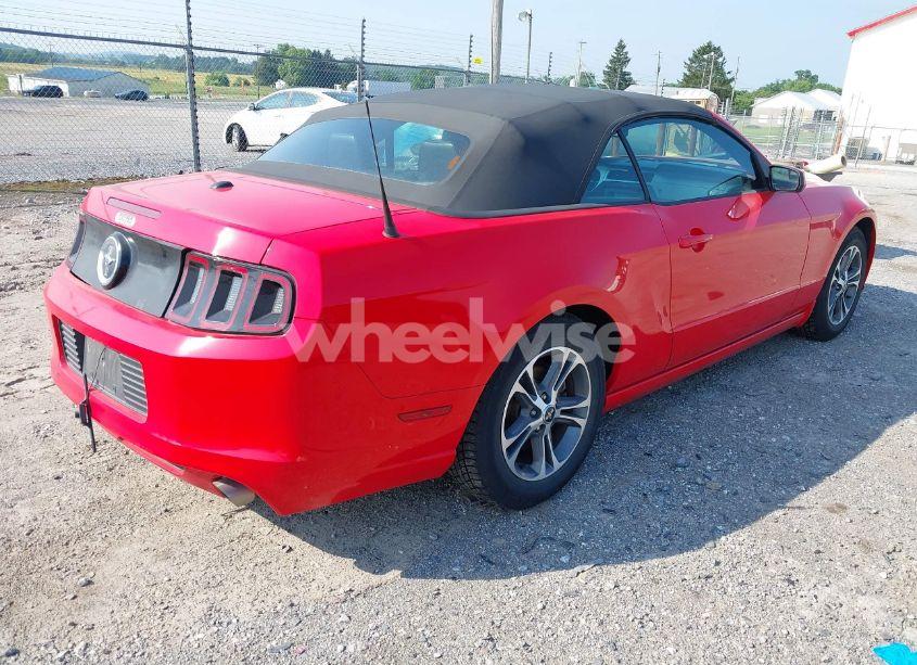 Photo 4 of 2014 Ford Mustang N/A (VIN 1ZVBP8EMXE5266387)