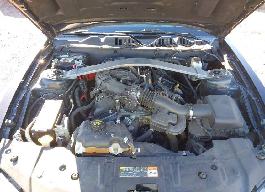 Photo 10 of 2014 Ford Mustang V6 (VIN 1ZVBP8EMXE5300165)