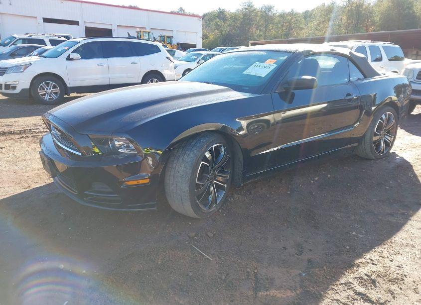 Photo 2 of 2014 Ford Mustang V6 (VIN 1ZVBP8EMXE5300165)