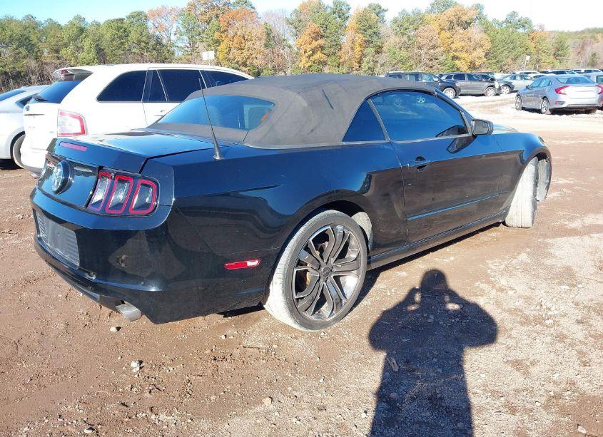 Photo 4 of 2014 Ford Mustang V6 (VIN 1ZVBP8EMXE5300165)