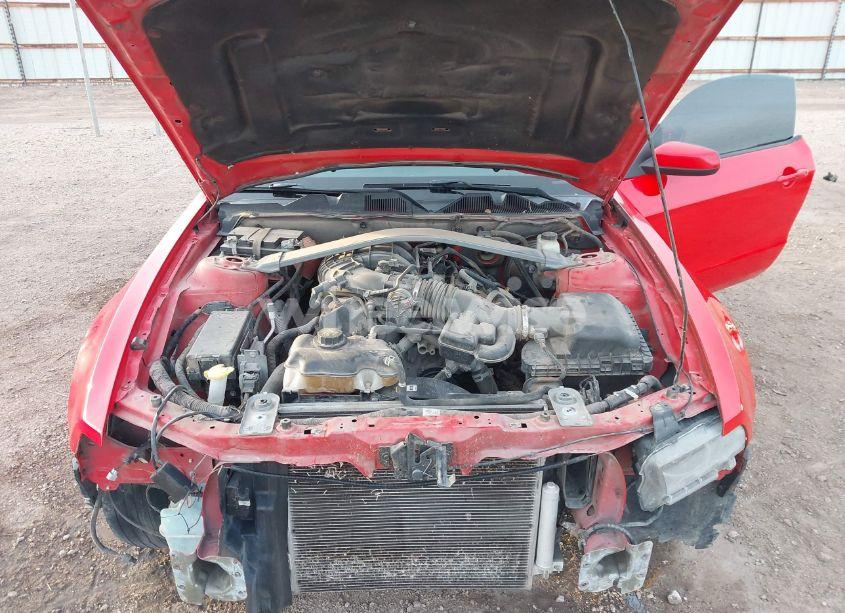 Photo 10 of 2014 Ford Mustang V6 PREMIUM (VIN 1ZVBP8EMXE5304703)