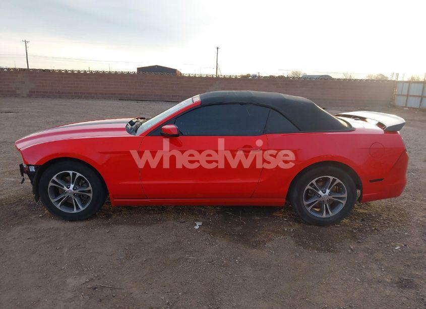 Photo 15 of 2014 Ford Mustang V6 PREMIUM (VIN 1ZVBP8EMXE5304703)