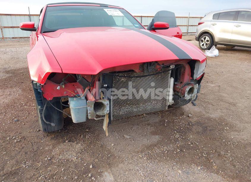 Photo 6 of 2014 Ford Mustang V6 PREMIUM (VIN 1ZVBP8EMXE5304703)