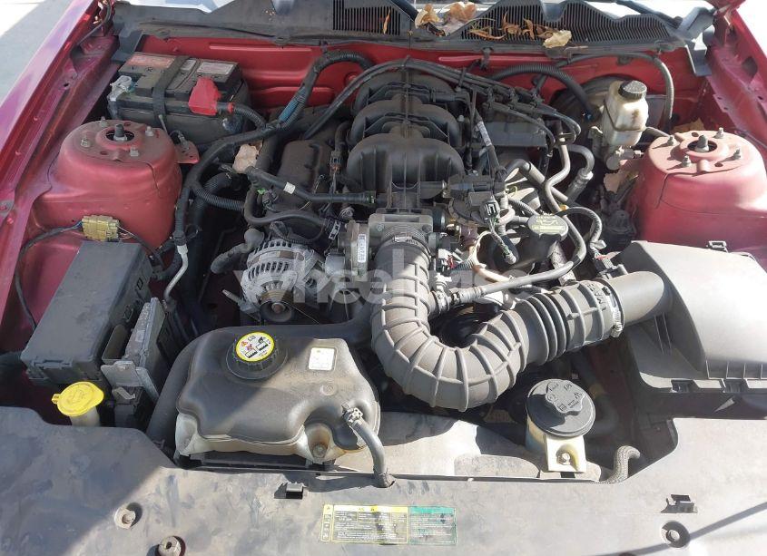 Photo 10 of 2010 Ford Mustang V6/V6 PREMIUM (VIN 1ZVBP8EN0A5113245)