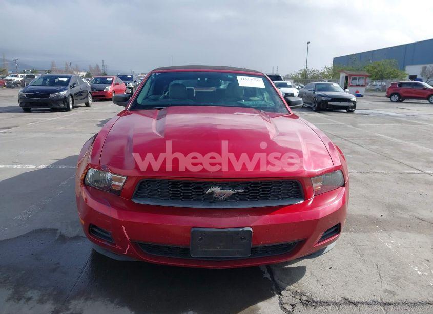 Photo 12 of 2010 Ford Mustang V6/V6 PREMIUM (VIN 1ZVBP8EN0A5113245)