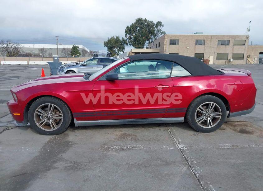 Photo 14 of 2010 Ford Mustang V6/V6 PREMIUM (VIN 1ZVBP8EN0A5113245)