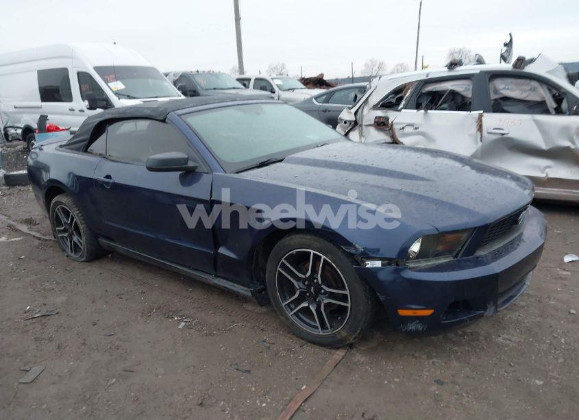 2010 Ford Mustang V6/V6 PREMIUM (VIN 1ZVBP8EN1A5174314) main photo