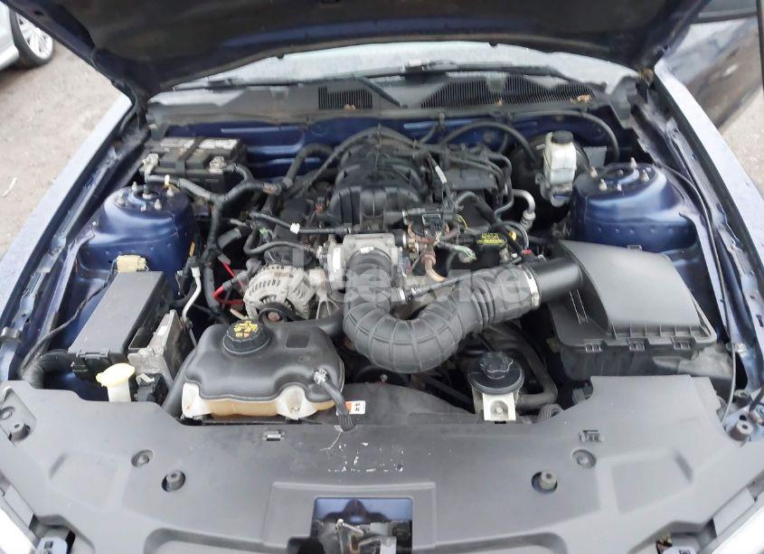 Photo 10 of 2010 Ford Mustang V6/V6 PREMIUM (VIN 1ZVBP8EN1A5174314)