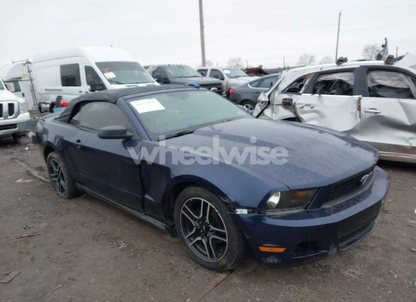 Photo 6 of 2010 Ford Mustang V6/V6 PREMIUM (VIN 1ZVBP8EN1A5174314)