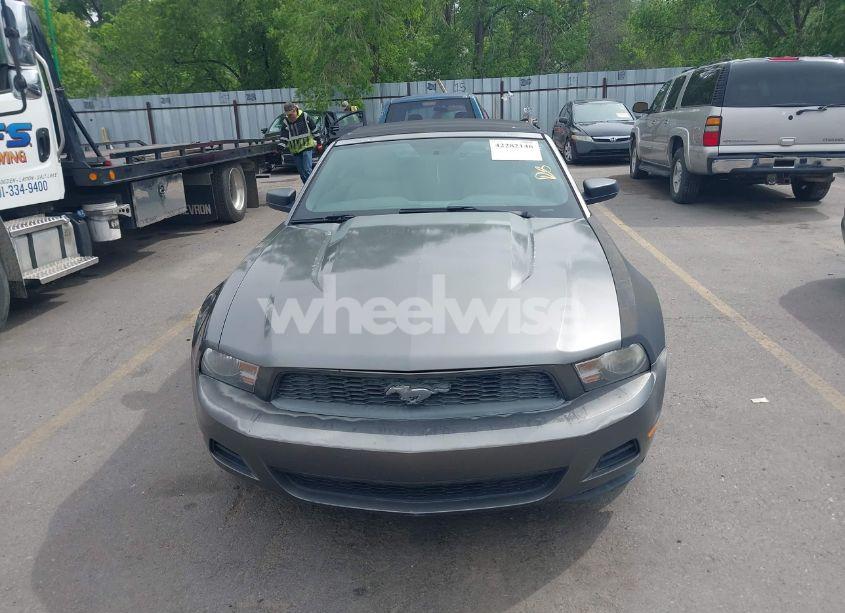 Photo 6 of 2010 Ford Mustang V6/V6 PREMIUM (VIN 1ZVBP8EN2A5175715)