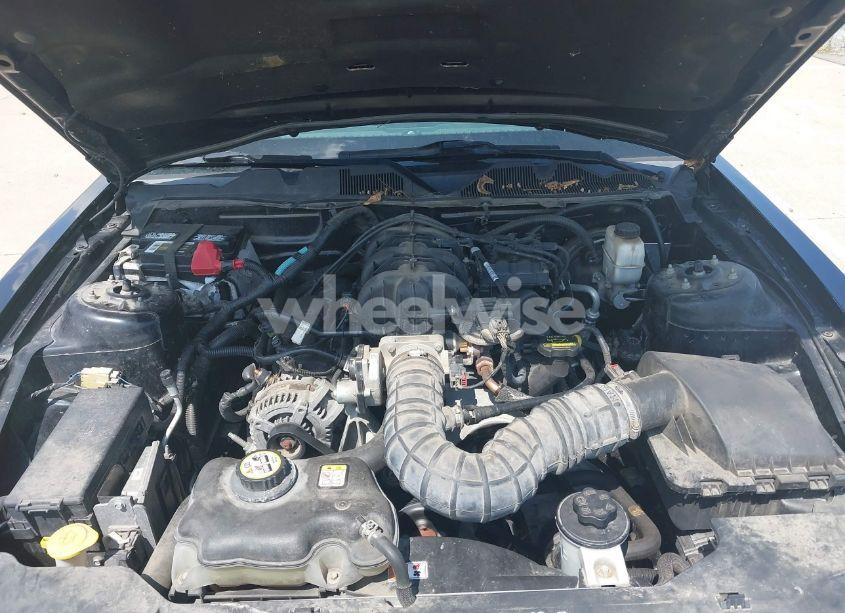 Photo 10 of 2010 Ford Mustang V6/V6 PREMIUM (VIN 1ZVBP8EN3A5133117)
