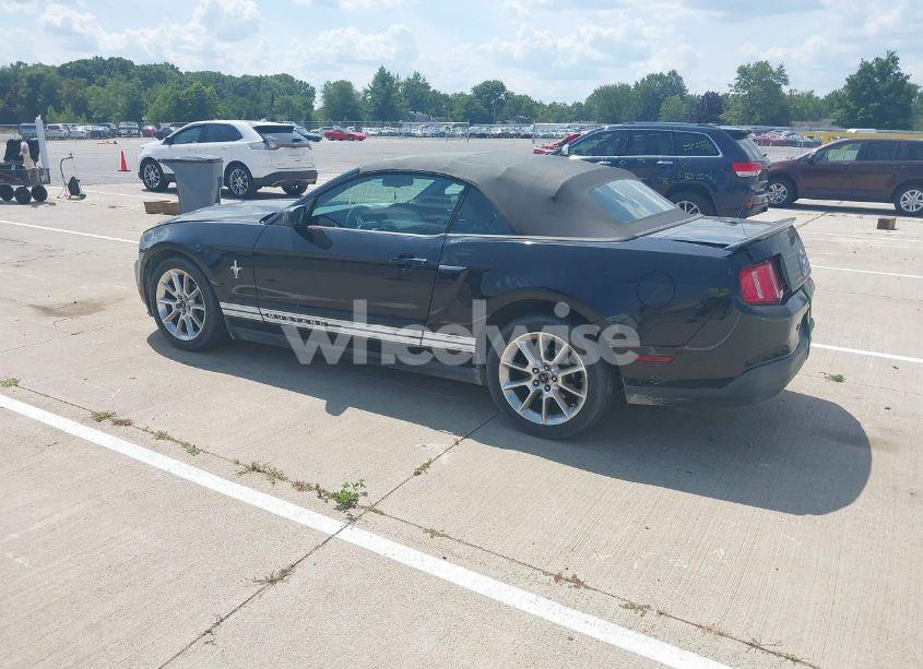 Photo 3 of 2010 Ford Mustang V6/V6 PREMIUM (VIN 1ZVBP8EN3A5133117)