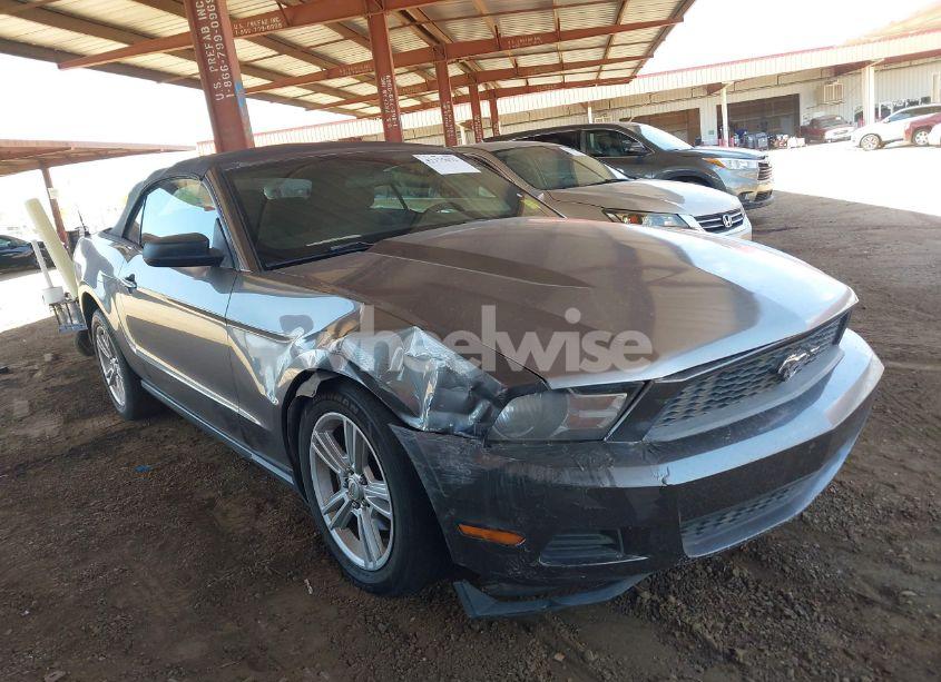 2010 Ford Mustang V6 (VIN 1ZVBP8EN4A5172296) main photo