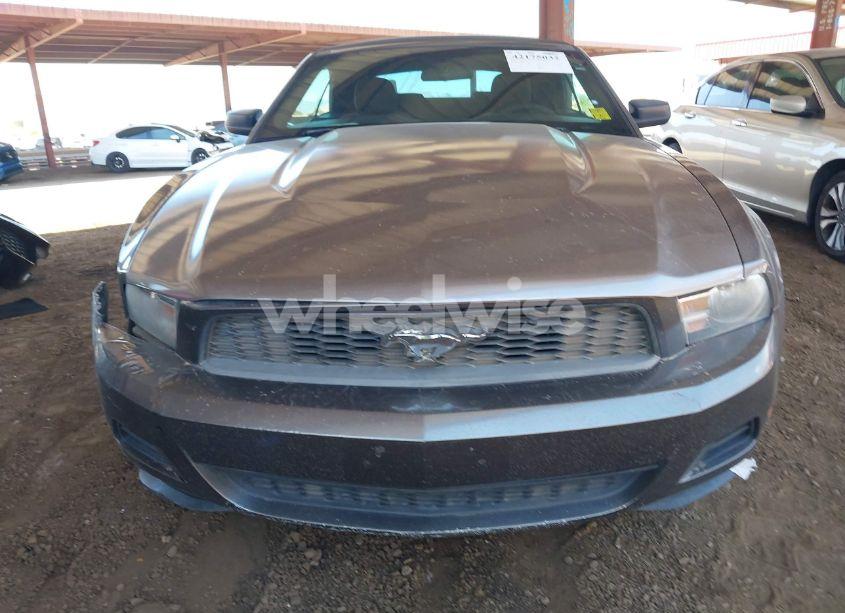 Photo 12 of 2010 Ford Mustang V6 (VIN 1ZVBP8EN4A5172296)