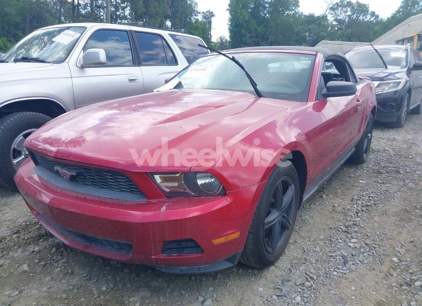 Photo 2 of 2010 Ford Mustang V6/V6 PREMIUM (VIN 1ZVBP8EN4A5175330)
