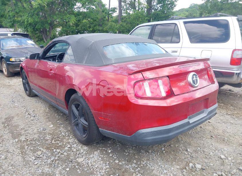 Photo 3 of 2010 Ford Mustang V6/V6 PREMIUM (VIN 1ZVBP8EN4A5175330)