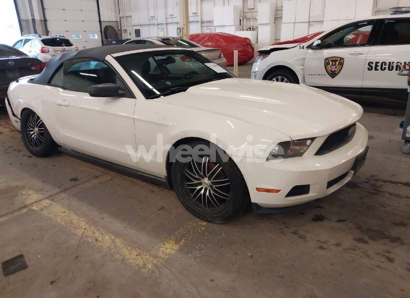 2010 Ford Mustang V6/V6 PREMIUM (VIN 1ZVBP8EN5A5122930) main photo