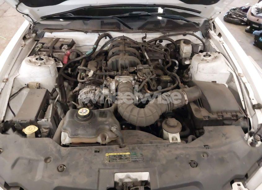 Photo 10 of 2010 Ford Mustang V6/V6 PREMIUM (VIN 1ZVBP8EN5A5122930)