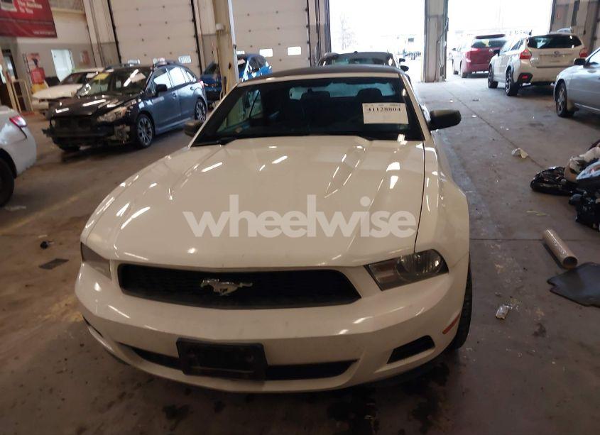 Photo 13 of 2010 Ford Mustang V6/V6 PREMIUM (VIN 1ZVBP8EN5A5122930)