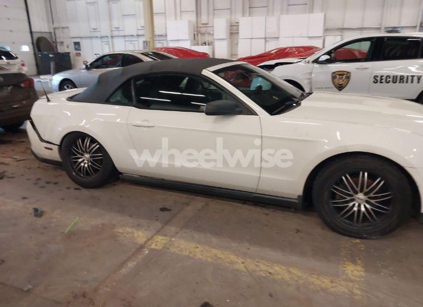 Photo 14 of 2010 Ford Mustang V6/V6 PREMIUM (VIN 1ZVBP8EN5A5122930)