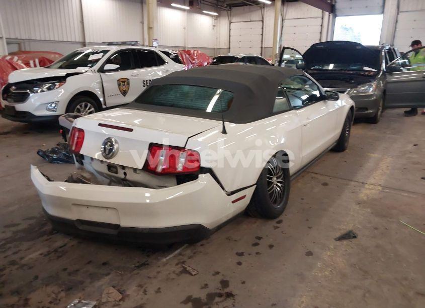 Photo 4 of 2010 Ford Mustang V6/V6 PREMIUM (VIN 1ZVBP8EN5A5122930)