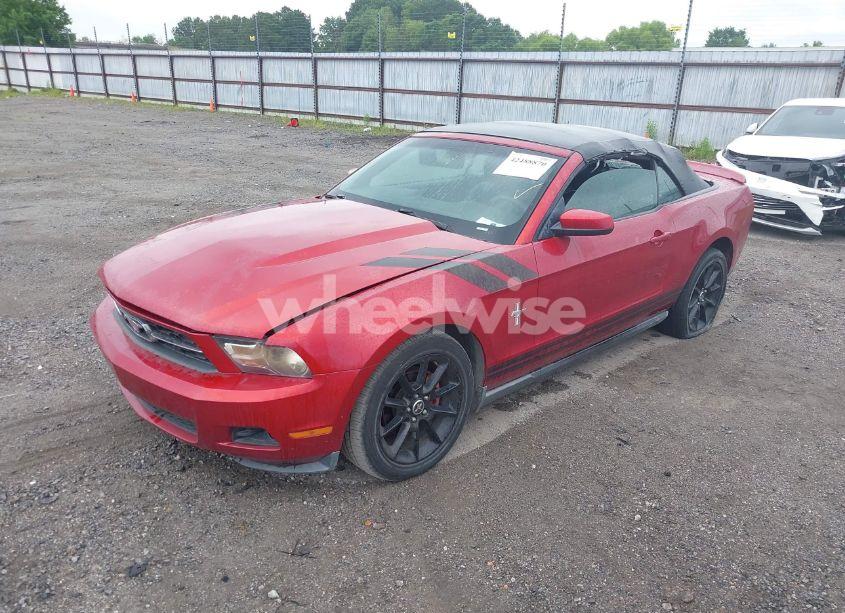 Photo 2 of 2010 Ford Mustang V6/V6 PREMIUM (VIN 1ZVBP8EN5A5159265)