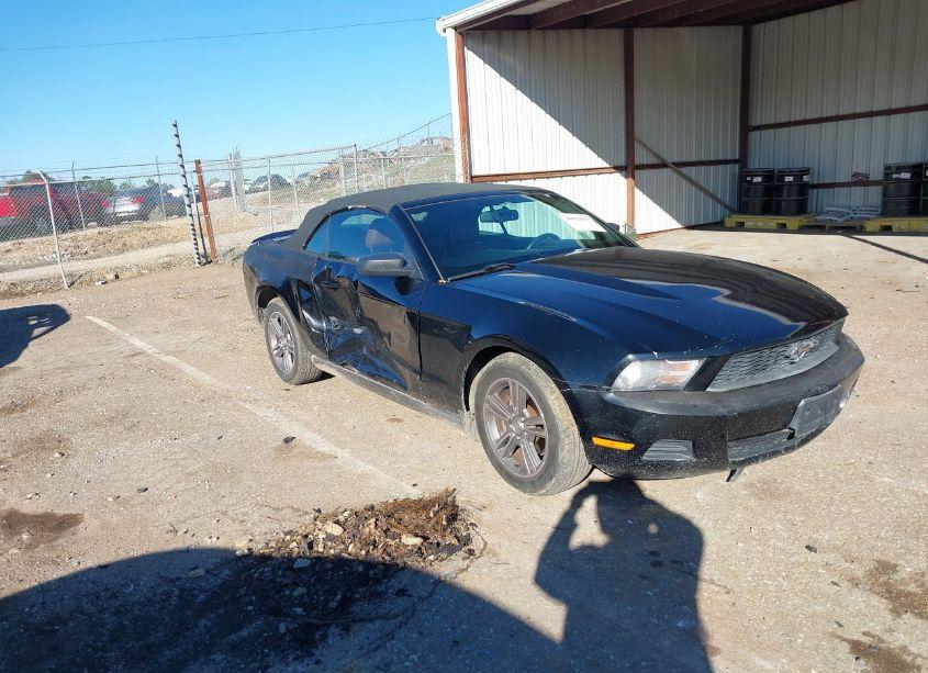 2010 Ford Mustang V6 PREMIUM (VIN 1ZVBP8EN6A5116697) main photo