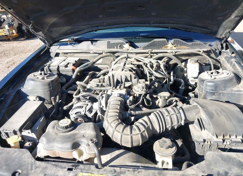 Photo 10 of 2010 Ford Mustang V6 PREMIUM (VIN 1ZVBP8EN6A5116697)